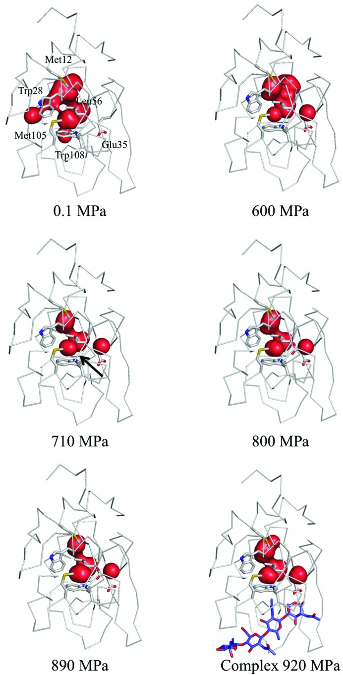 Figure 10