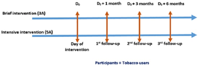 Figure 3.