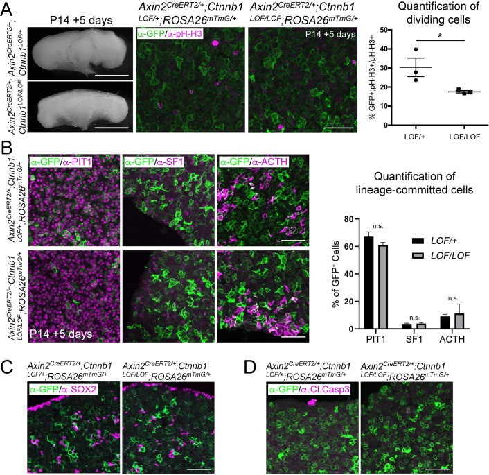 Figure 1—figure supplement 2.