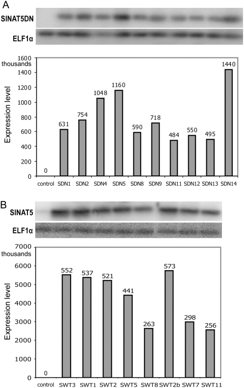 Figure 3.