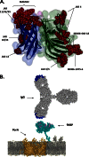 Fig 6