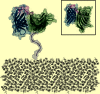 Fig 3