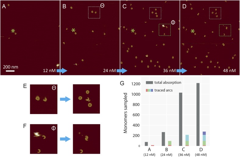 Figure 5—figure supplement 1.