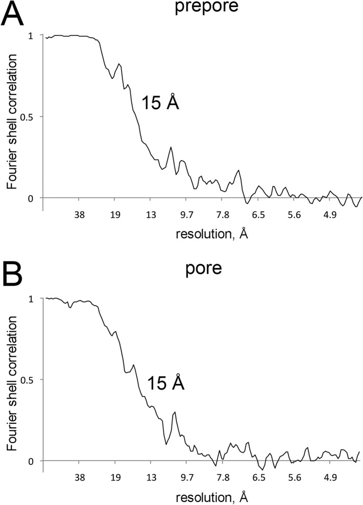 Figure 1—figure supplement 2.