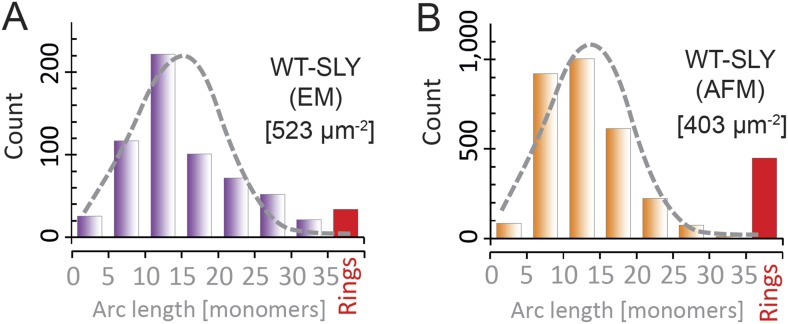 Figure 4—figure supplement 1.