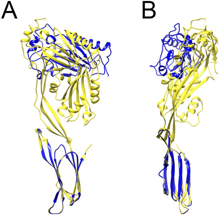 Figure 1—figure supplement 4.