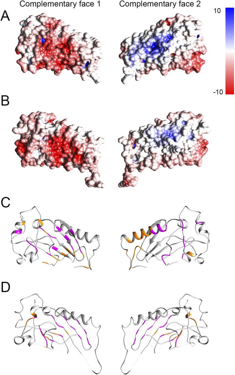 Figure 1—figure supplement 3.