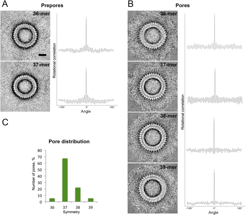 Figure 1—figure supplement 1.