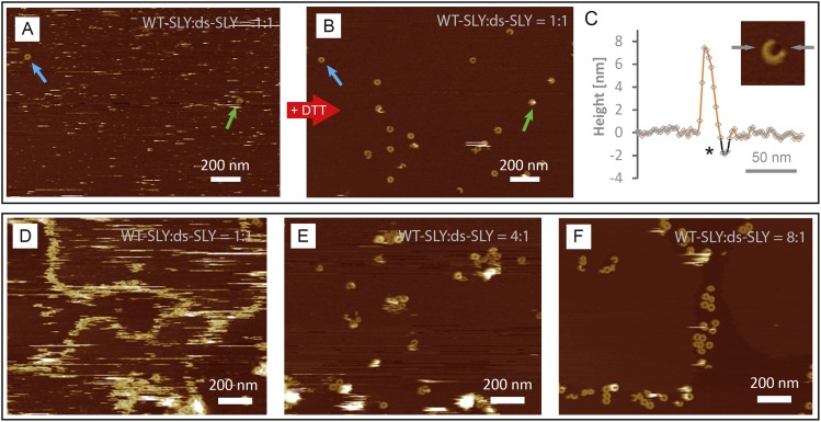 Figure 4—figure supplement 3.