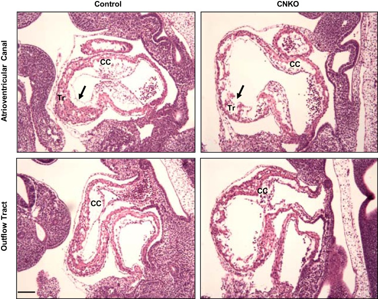 FIG 5