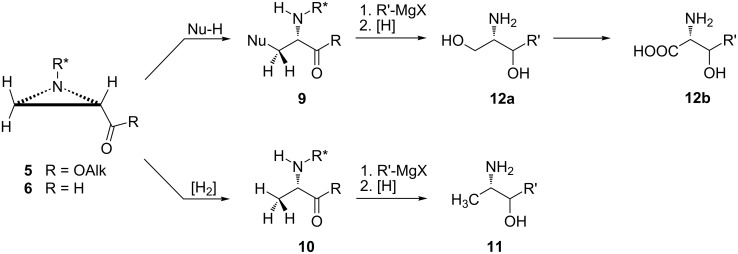 Scheme 3