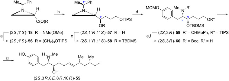 Scheme 16