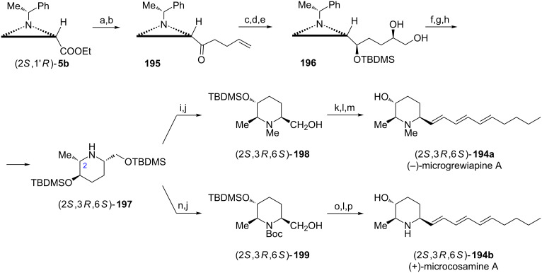 Scheme 52