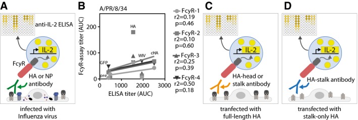 Figure EV3