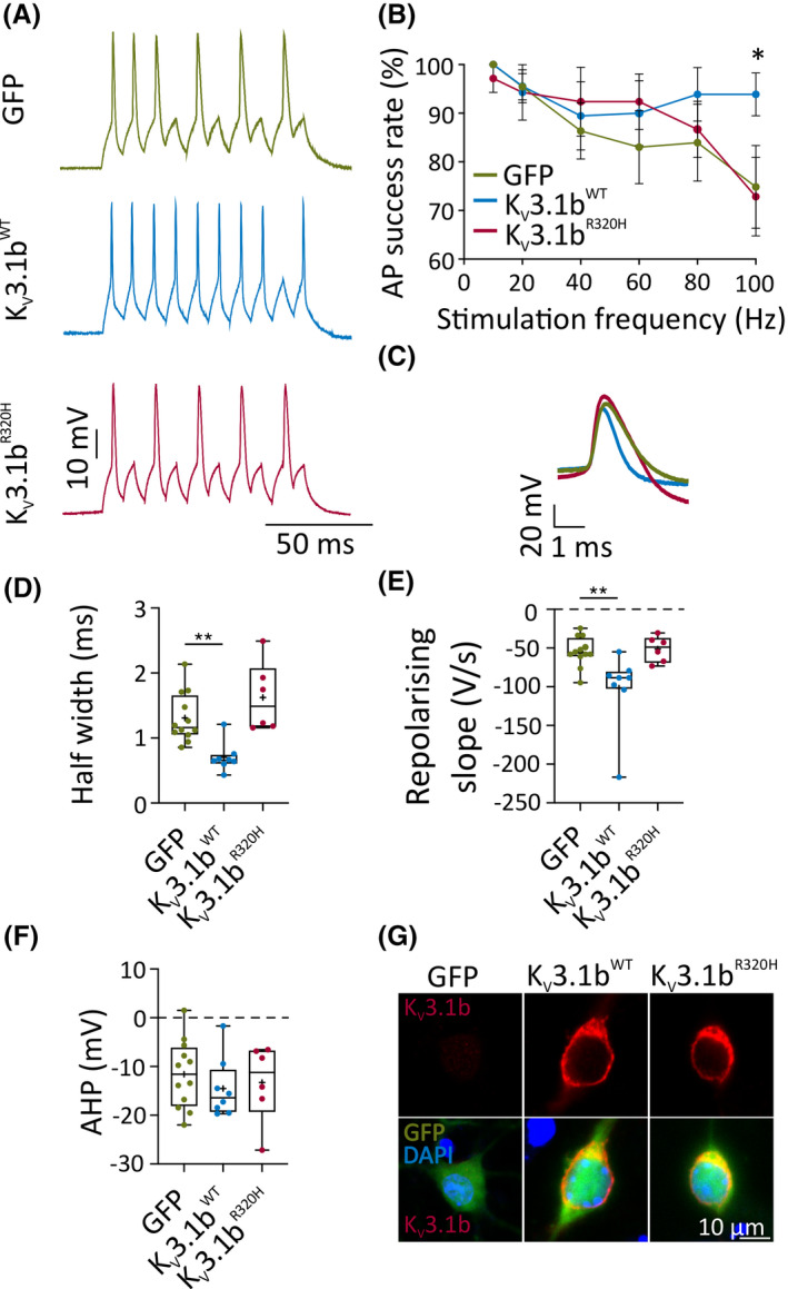 FIGURE 2