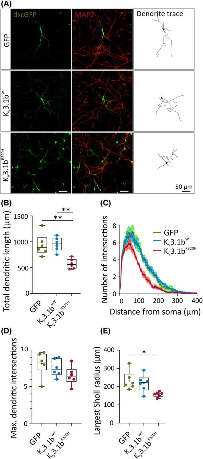 FIGURE 3