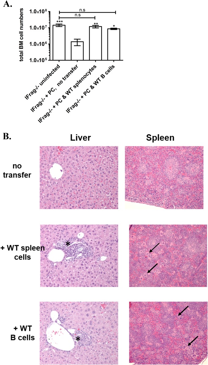 FIG 2