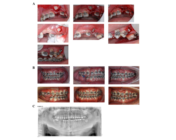 Figure 3.