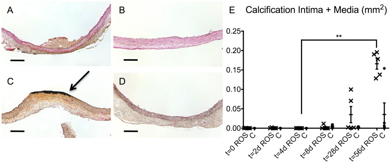 Fig 8