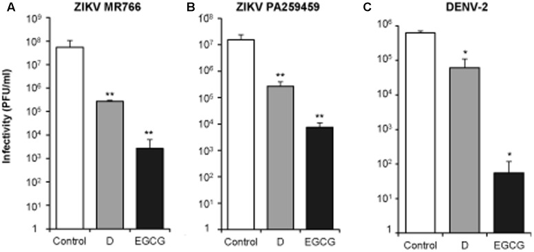 FIGURE 4