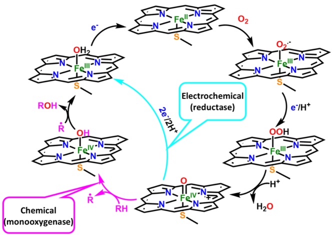 Scheme 2