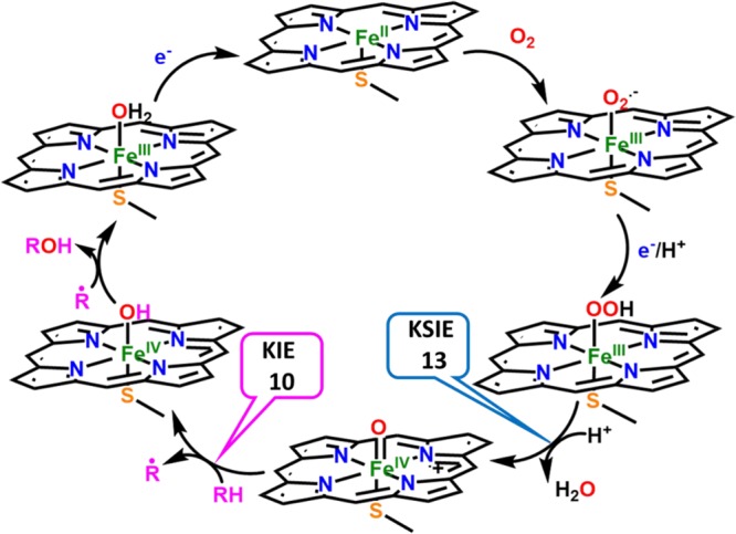 Scheme 3