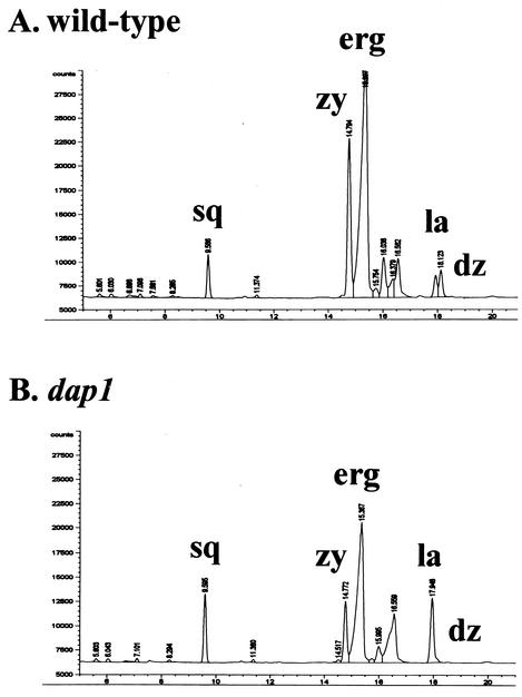 FIG. 7.