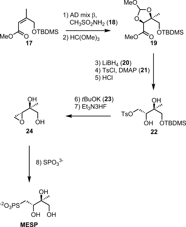 Scheme 4