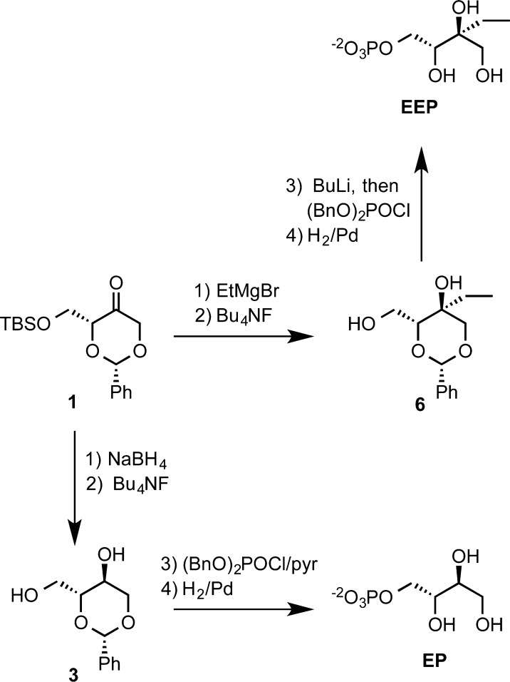 Scheme 2