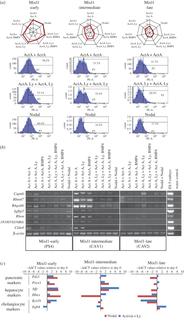 Figure 2.