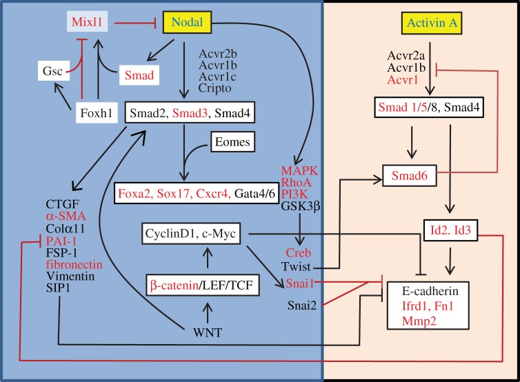 Figure 4.