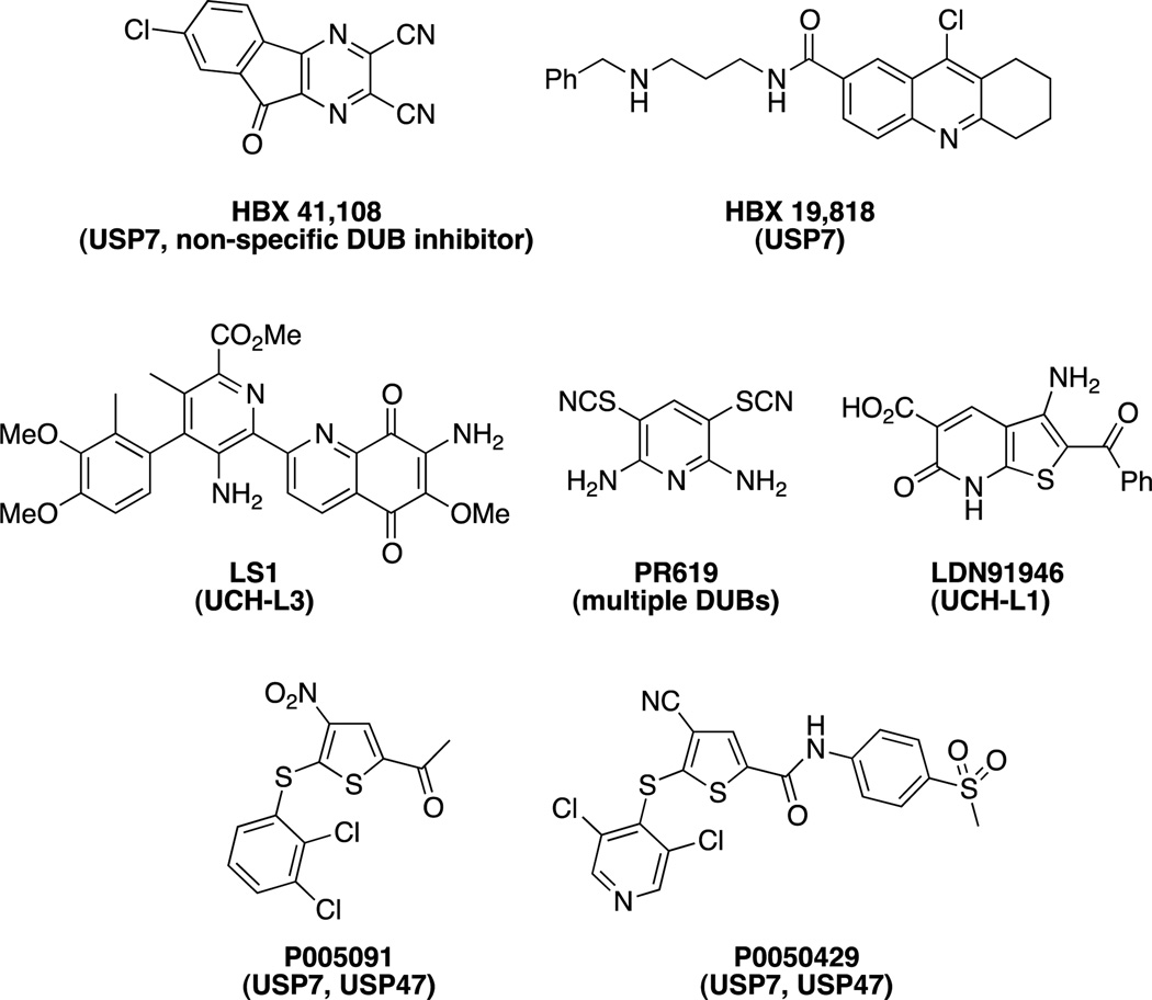 Figure 17