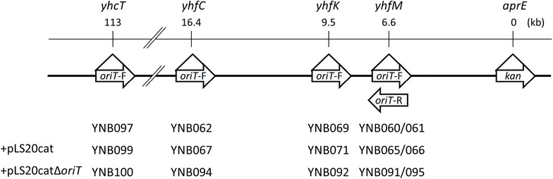 Fig. 1