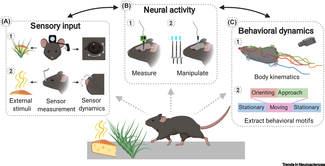 Figure 3,