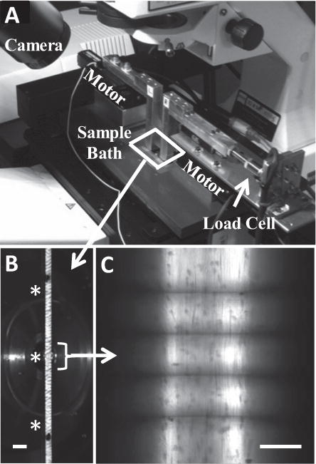 Fig. 2