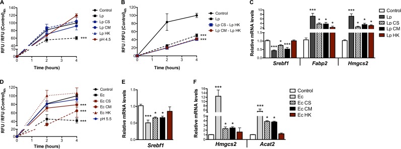 FIG 6 