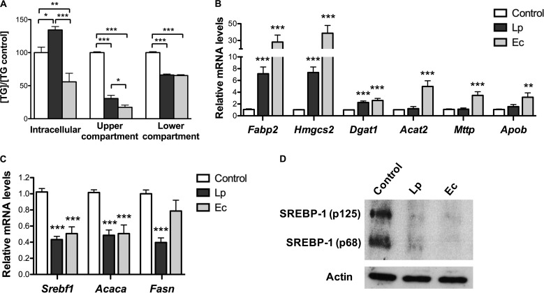 FIG 3 