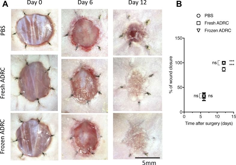 Fig. 4