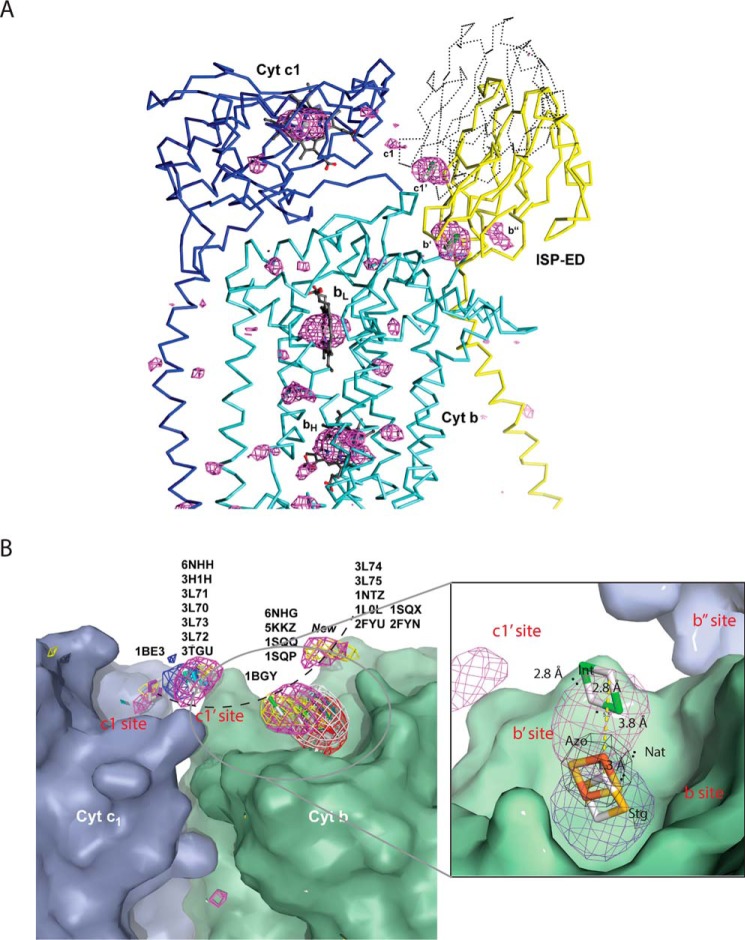 Figure 5.