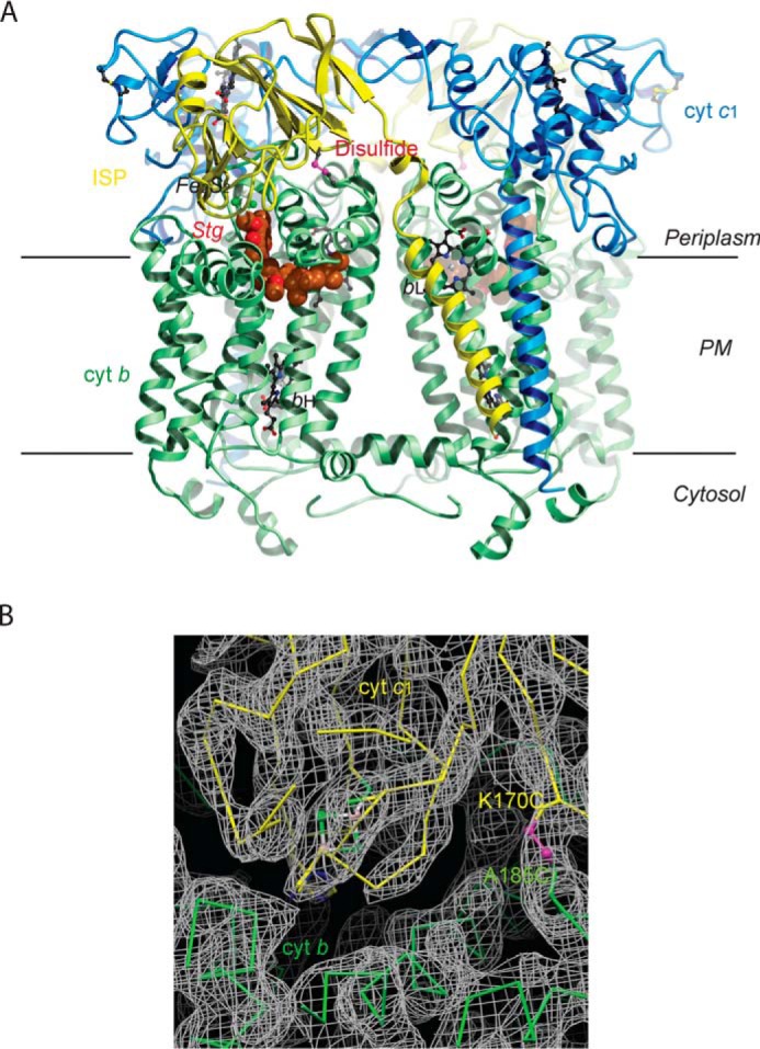 Figure 2.