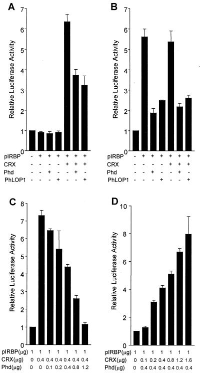 FIG. 4