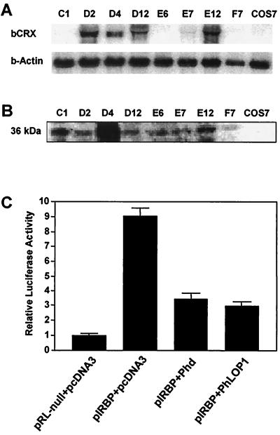 FIG. 5