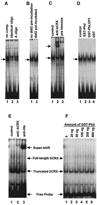 FIG. 7