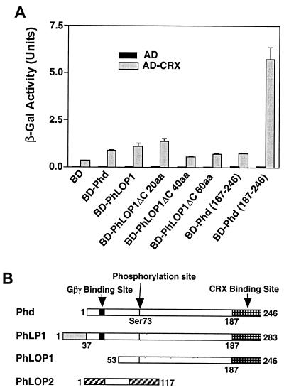 FIG. 1