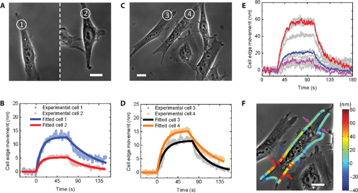 Fig. 4