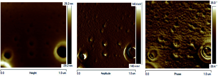 Fig. 13