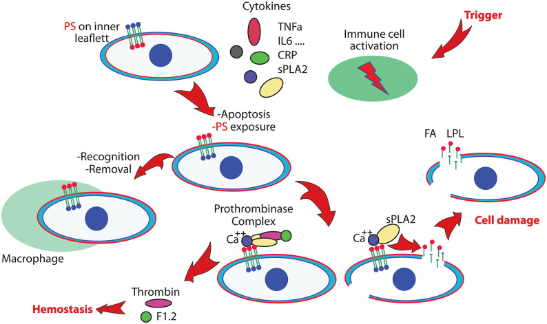 Figure 1.