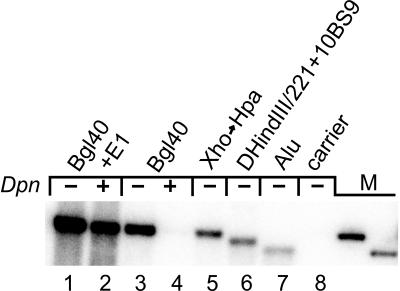 FIG. 5
