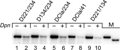 FIG. 8