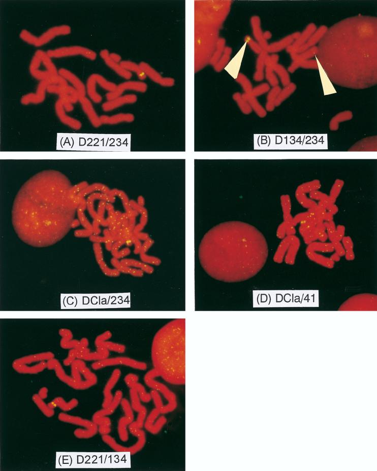 FIG. 7